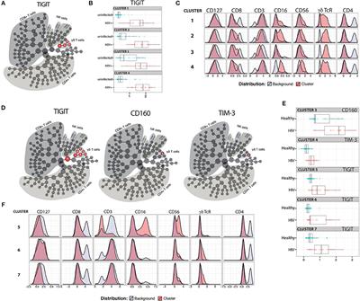 Multivariate Computational Analysis of Gamma Delta T Cell Inhibitory Receptor Signatures Reveals the Divergence of Healthy and ART-Suppressed HIV+ Aging